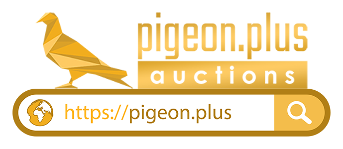 pigeon.plus auctions