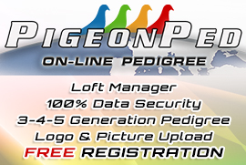 pigeonped.com banner web 2020
